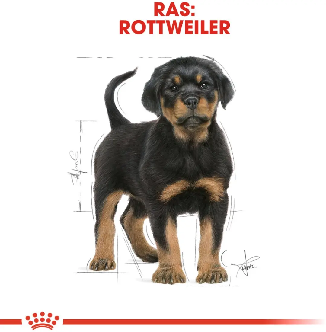 Royal Canin Rottweiler Puppy Hondenvoer - 12kg