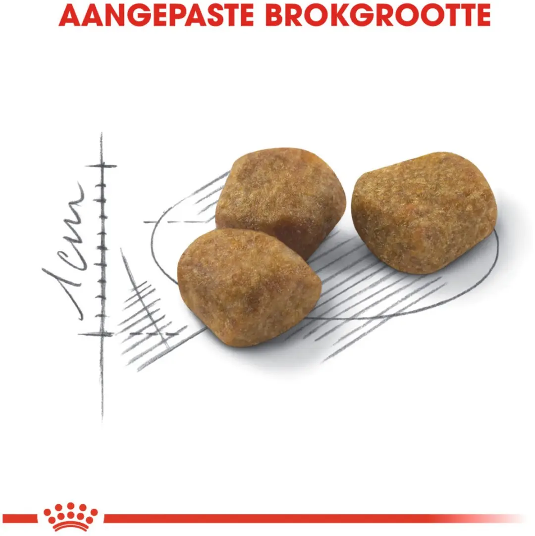 Royal Canin Fit 32 Kattenvoer 12kg Bonusbag