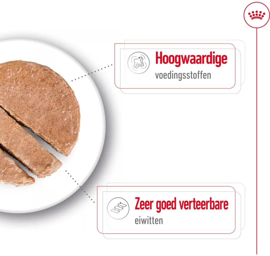 Royal Canin Maxi Adult Hondenvoer Nat - 12x410g