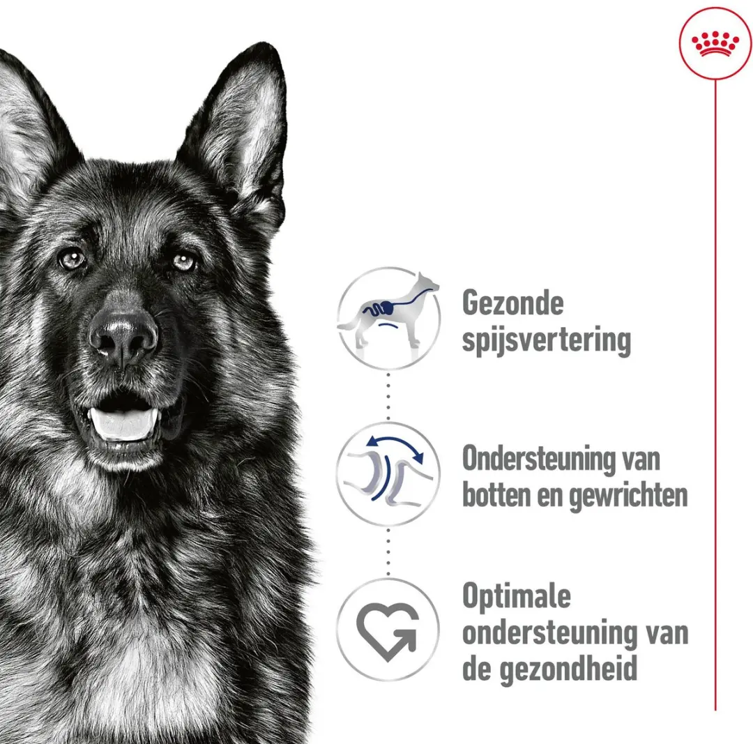 Royal Canin Maxi Adult Hondenvoer Nat - 12x410g