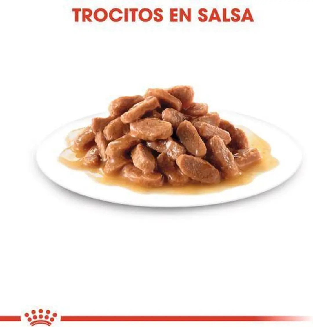 Royal Canin Katjes Instinctive Gravy Natvoer - 12x85g