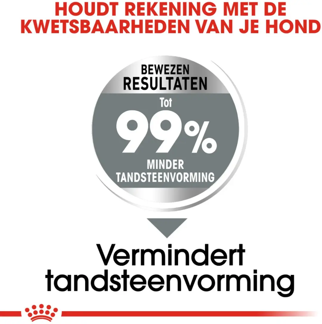 Royal Canin Dental Care Medium Hondenvoer 10kg