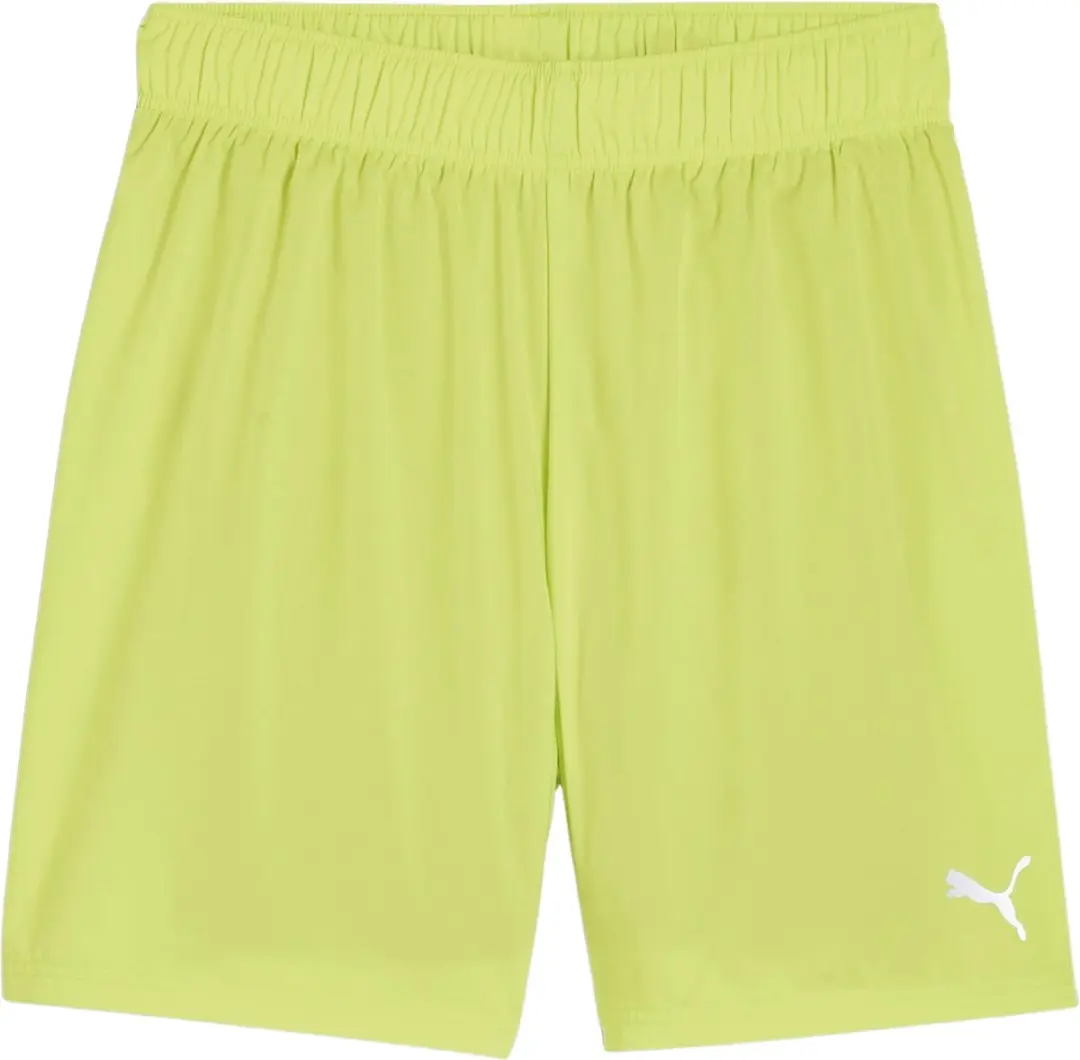 PUMA Run Fav 2in1 Short M Heren