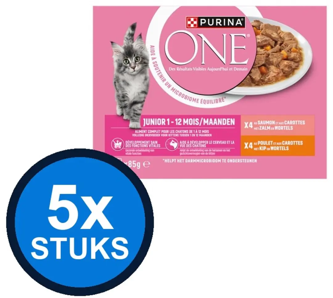 Purina ONE Junior Zalm Kip & Wortels 680g