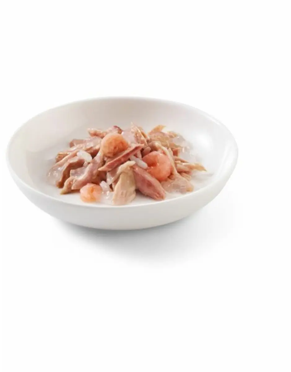 Schesir Kattenvoer Tonijn & Garnaal in Gelei - 12x85g