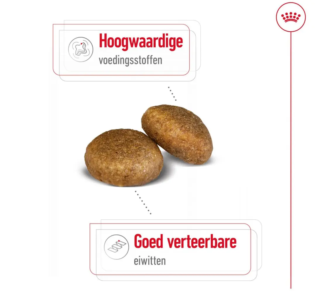 Royal Canin Maxi Adult Hondenvoer 10 kg