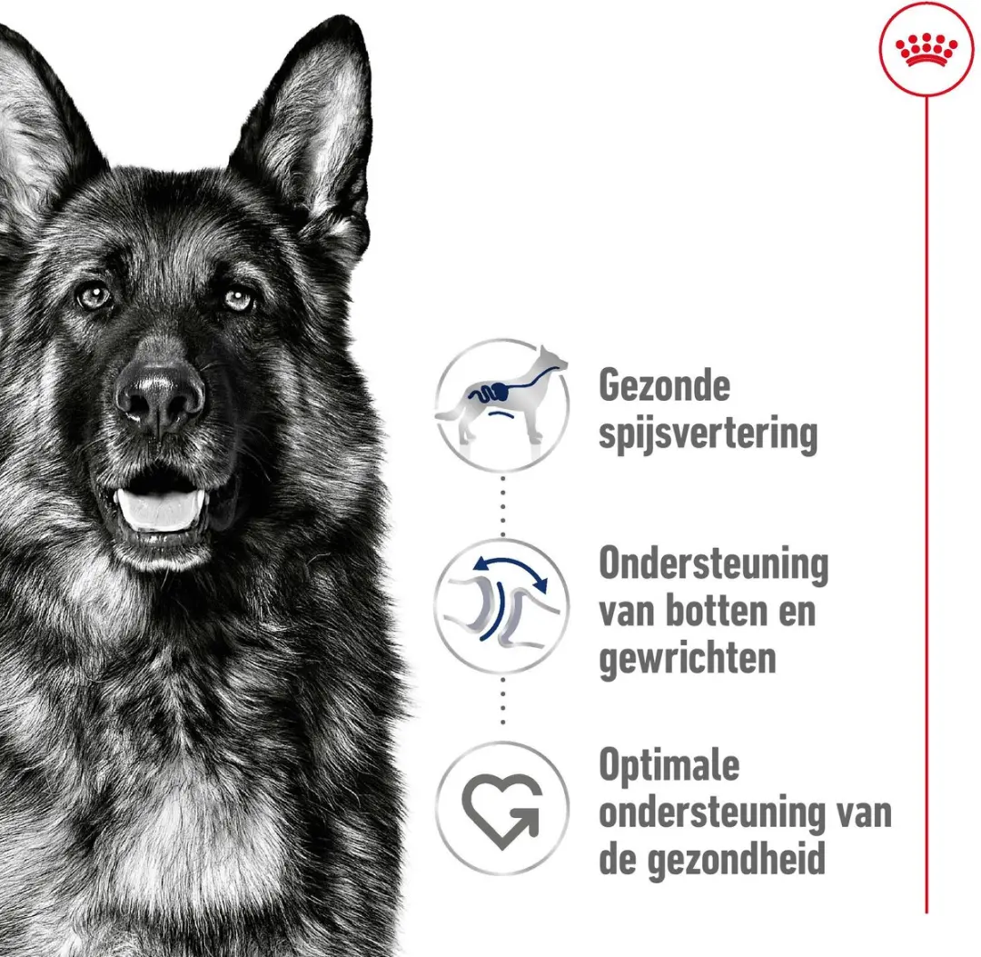Royal Canin Maxi Adult Hondenvoer 10 kg