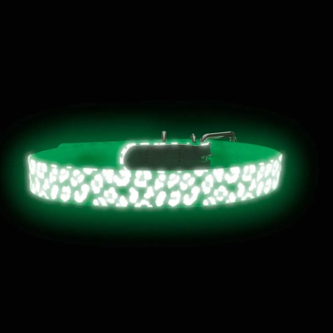 Hunter Halsband Convenience Reflect Wit - 60 cm