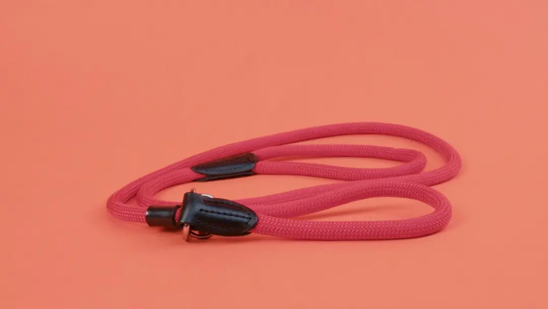 Hunter Retrieverlijn Stop Freestyle 8mm 170cm - Rood - afbeelding 6 van 6