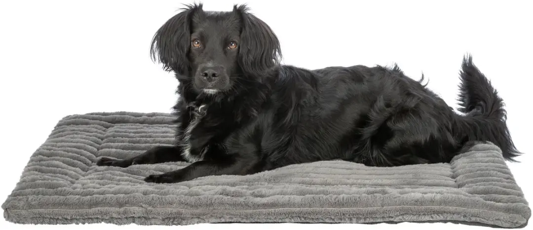 Trixie Ligmat Lonni Ribfluweel 110x75cm - Grijs