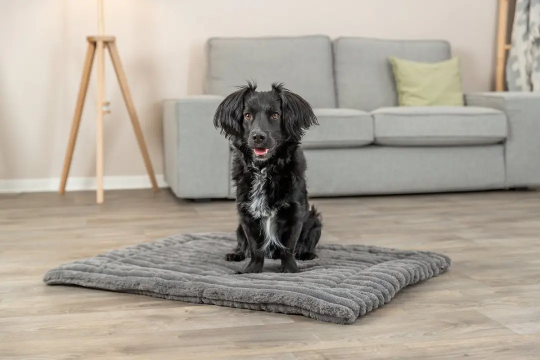 Trixie Ligmat Lonni Ribfluweel 110x75cm - Grijs