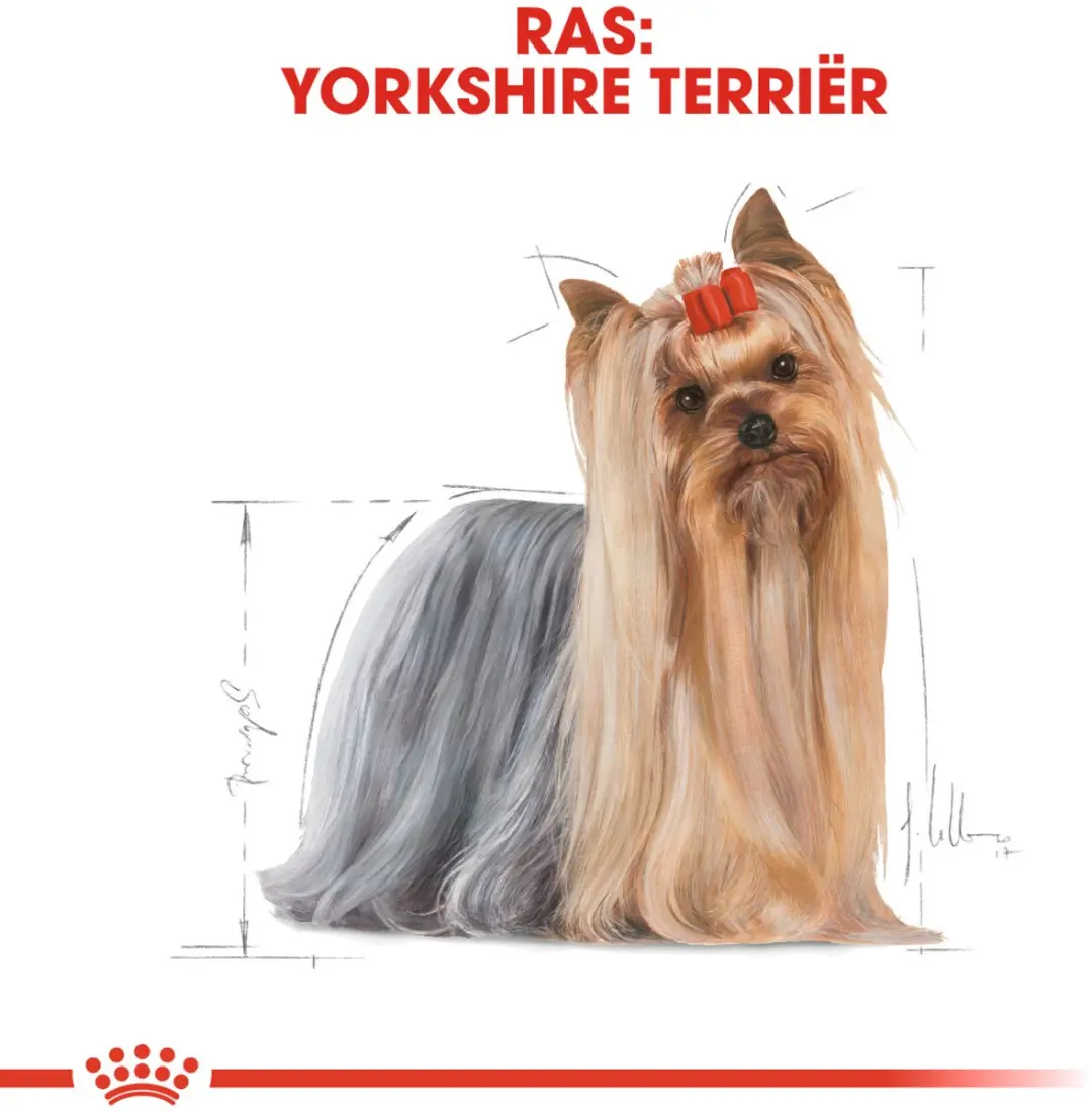 Royal Canin Yorkshire Terrier Adult Hondenvoer 7,5 kg