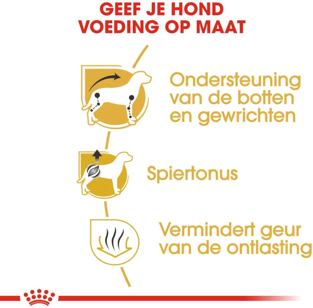 Royal Canin Dachshund Adult Hondenbrokken 1.5kg - afbeelding 6 van 6