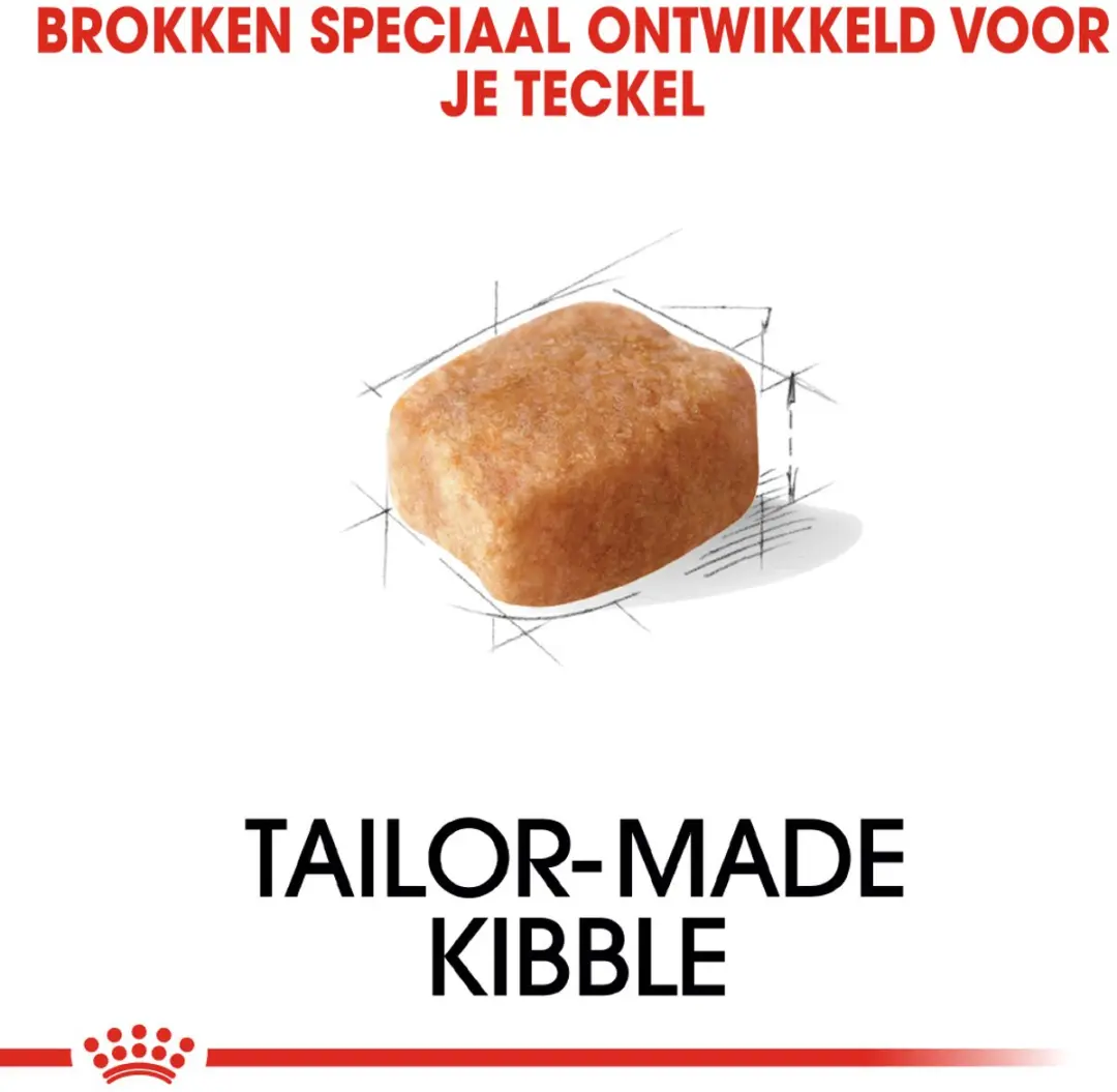 Royal Canin Dachshund Adult Hondenbrokken 1.5kg