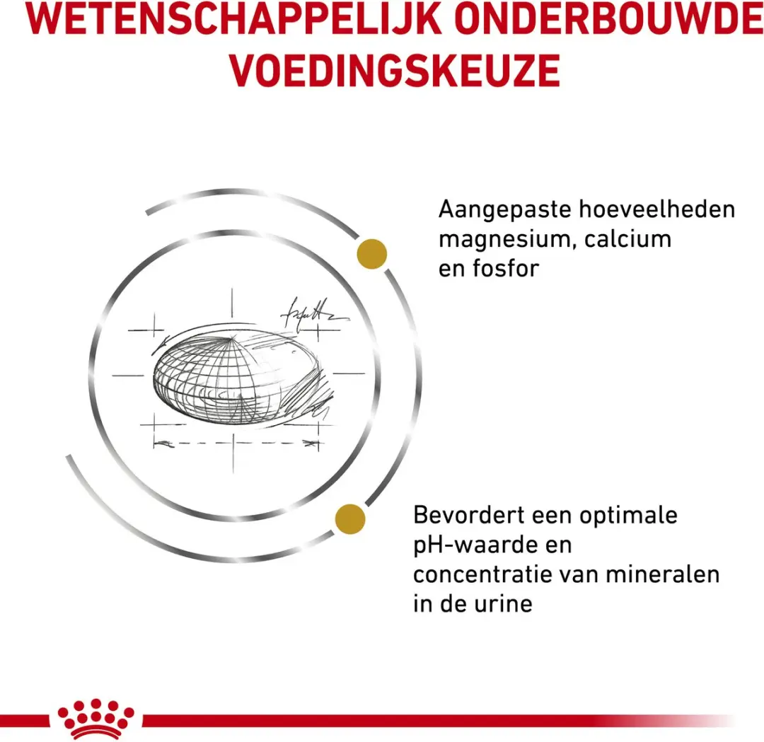 Royal Canin Urinary Combi Bundel - 3,5kg + 20 Stuks (12x85g) Morsels Gravy
