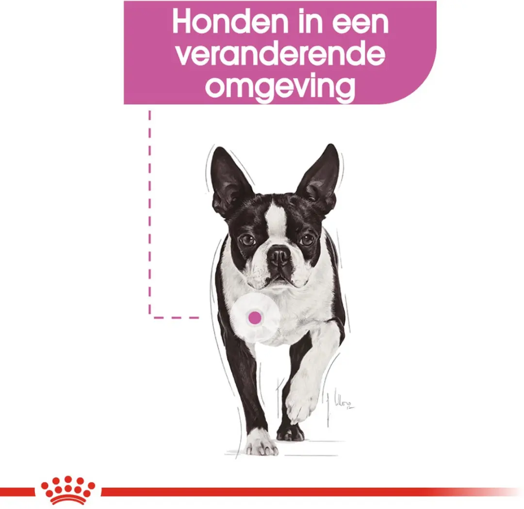 Royal Canin CCN Relax Care Mini Hondenvoer 8kg