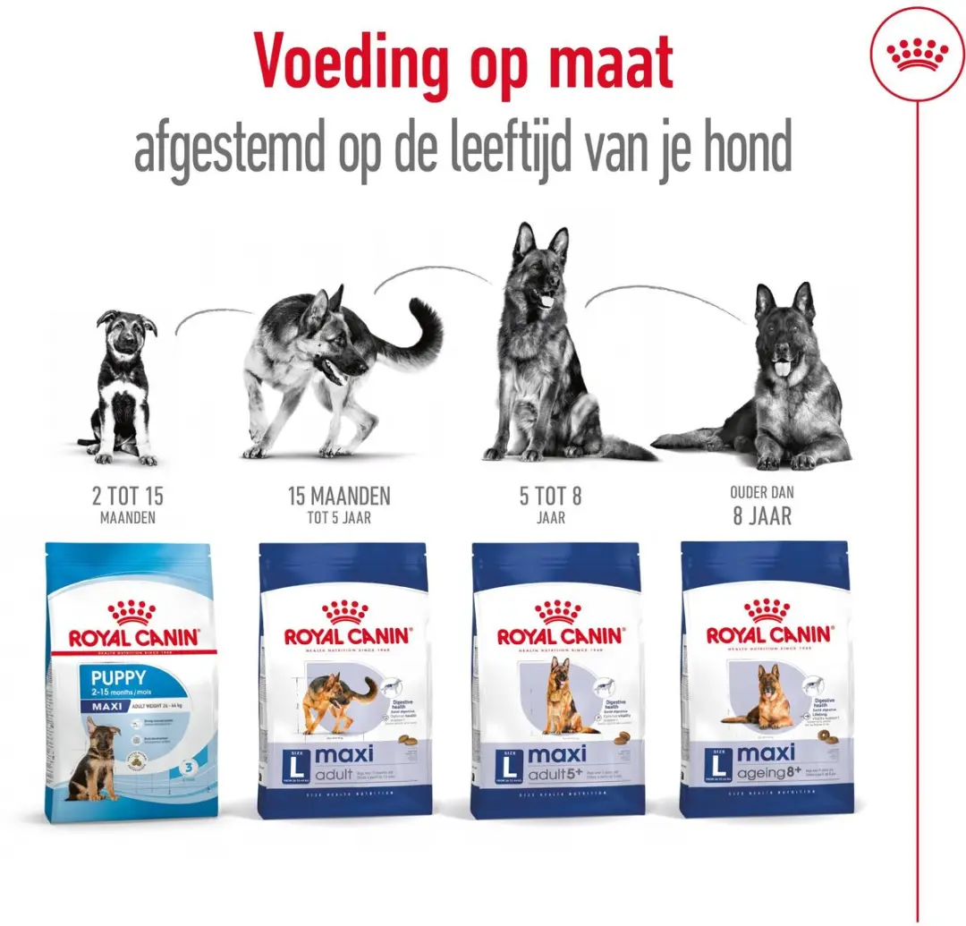 Royal Canin Maxi Ageing 8+ Hondenvoer - 3kg