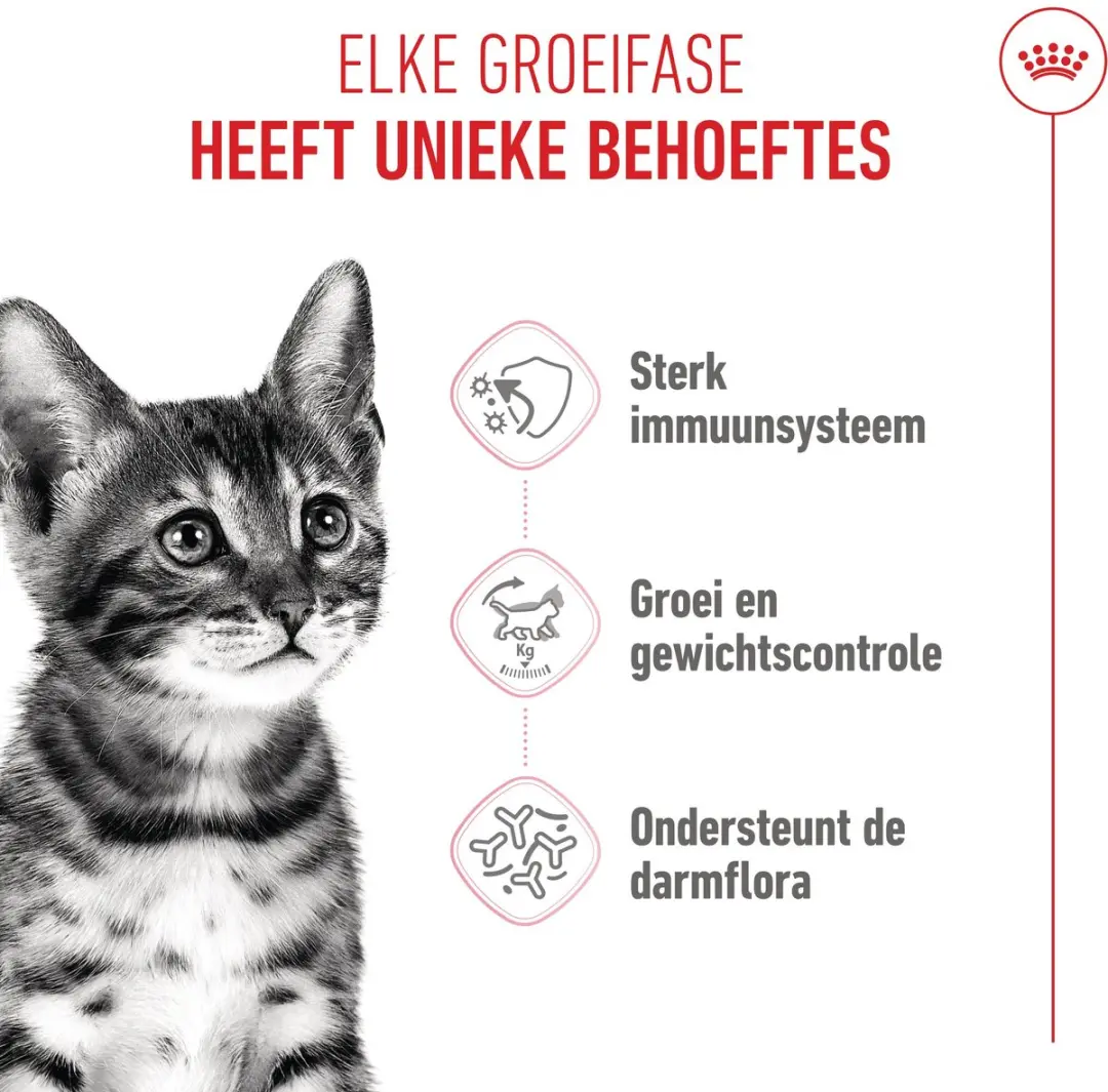 Royal Canin Kitten Sterilised Kattenvoer 400g