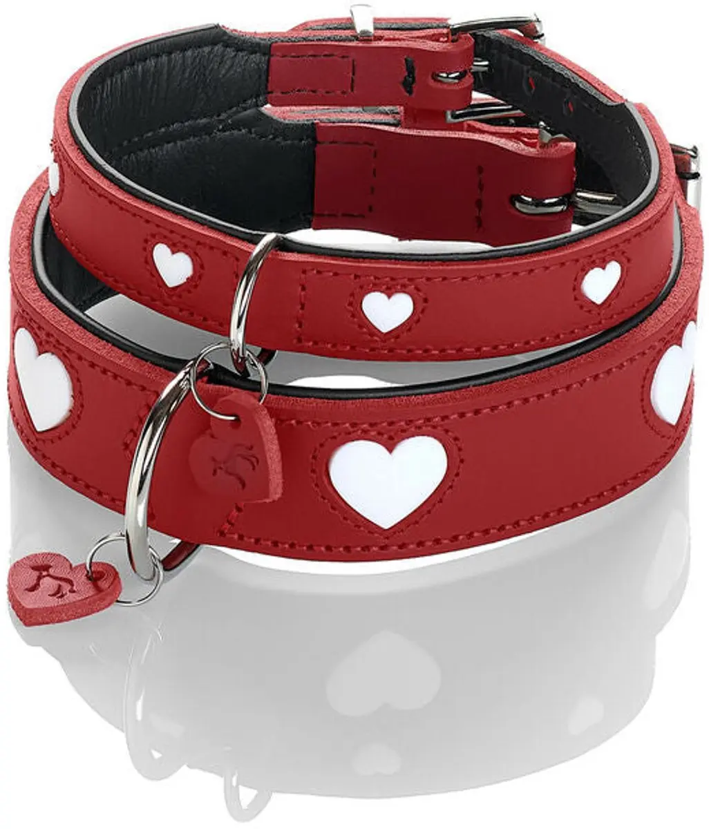 Hunter Collar Love Halsband - Rood - S