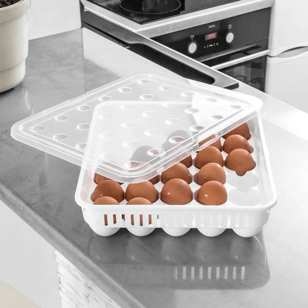 Orion Eierenhouder 30 Stuks - BPA-vrij - Wit