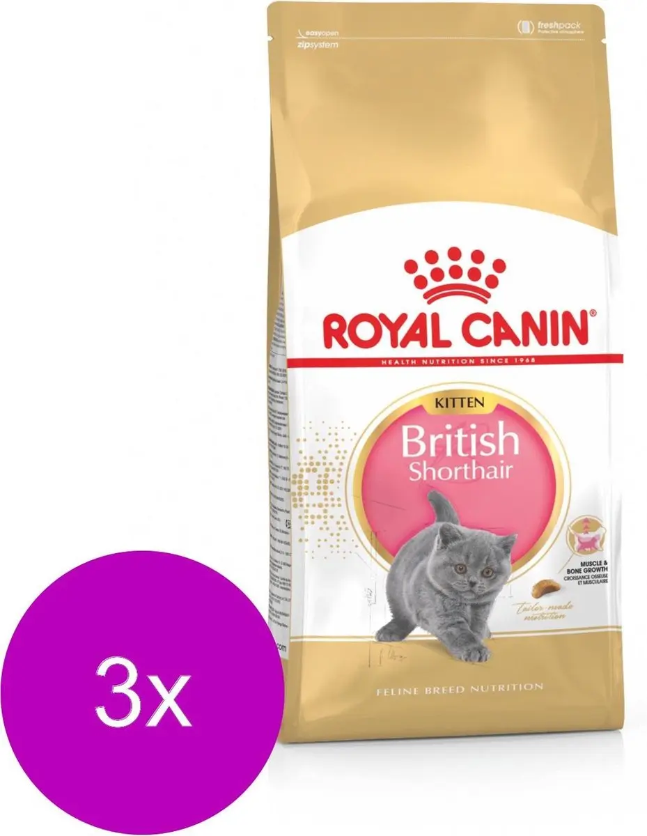 Royal Canin British Shorthair Kitten