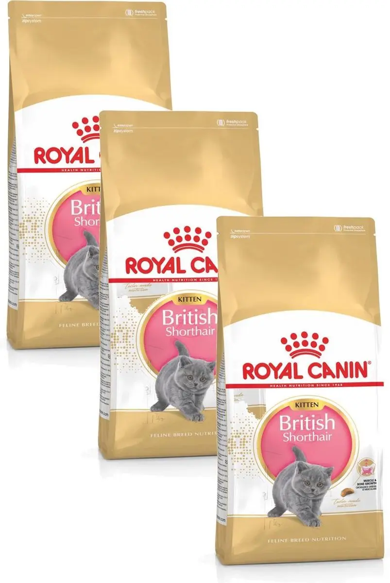 Royal Canin British Shorthair Kitten - 6 kg