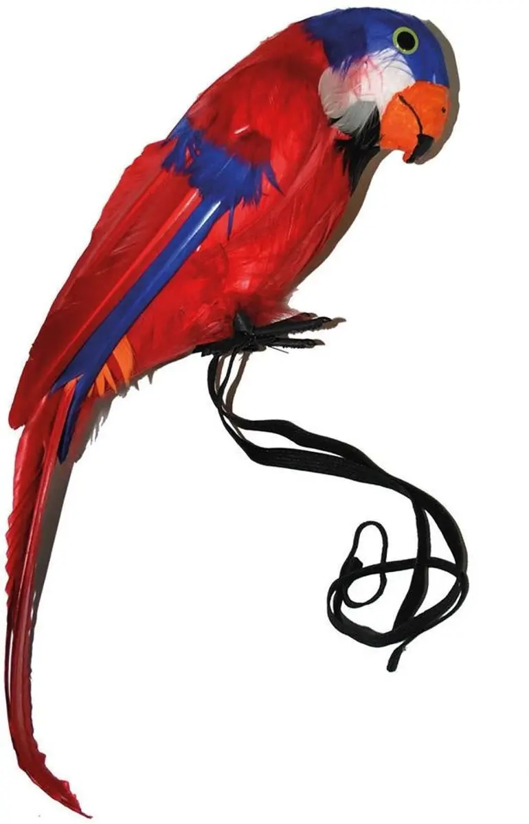 Papegaai decoratief rood