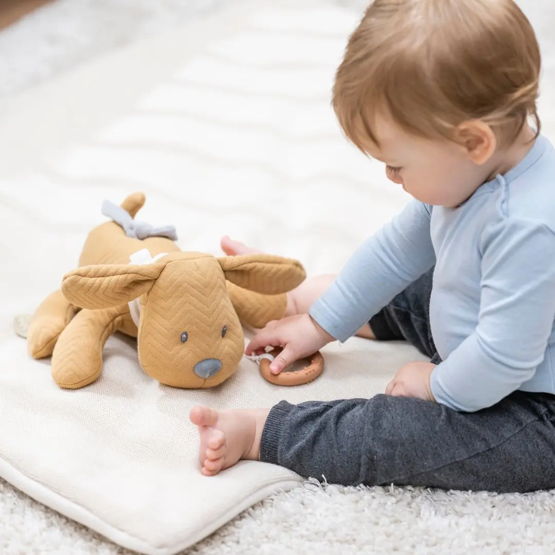 Nattou Hond Charlie Muziekknuffel - Vanille 20cm