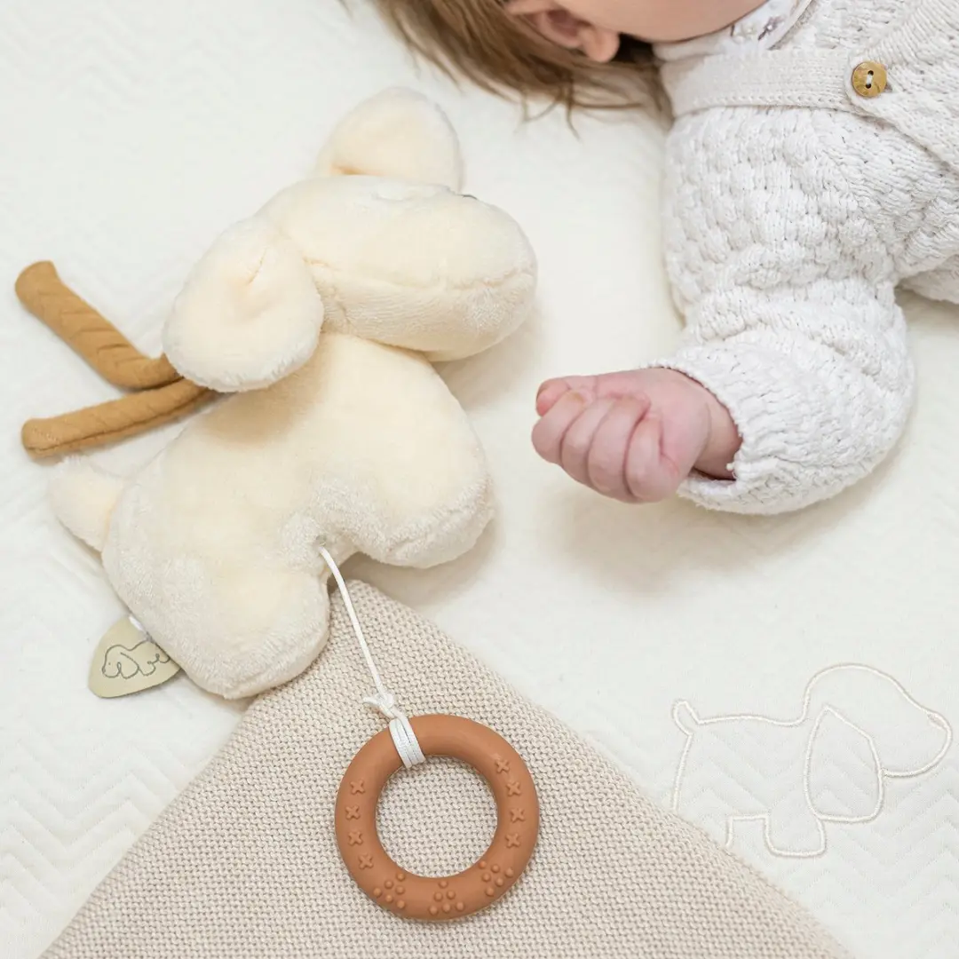 Nattou Hond Charlie Muziekknuffel - Vanille 20cm
